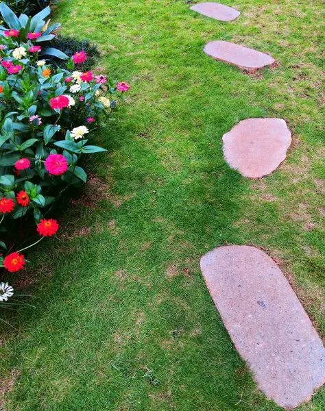 Bahçe yolu, yan tarafında renkli zinya çiçekleri olan çimlere yerleştirilmiş basamak taşlarından yapılmıştır..