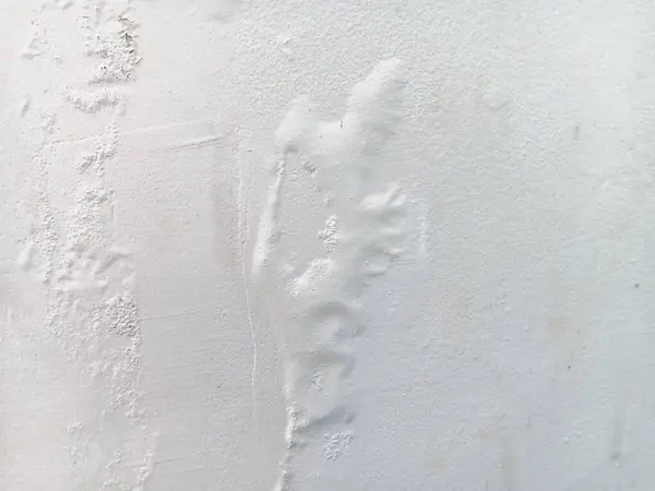 Kabarcıkların soyut dokusu ya da baloncuklar beyaz bir duvara resim yapıyor..