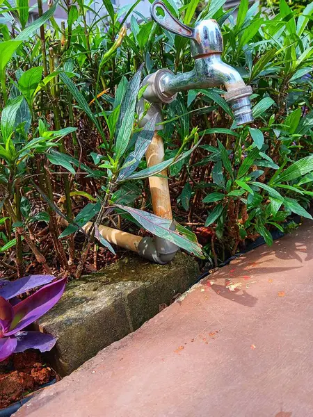 Bahçedeki gümüş paslanmaz çelik su musluğu..