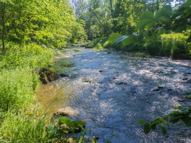 Estonya. Toila Oru Parkı, Ida-Viru Bölgesi 'nin incilerinden biridir. Yürümek için harika bir yer. Yeşil tatil.