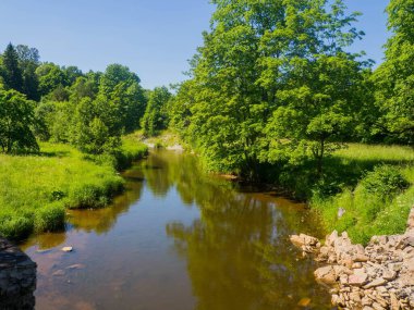 Estonya. Toila Oru Parkı, Ida-Viru Bölgesi 'nin incilerinden biridir. Yürümek için harika bir yer. Yeşil tatil.