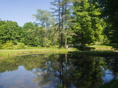 Estonya. Toila Oru Parkı, Ida-Viru Bölgesi 'nin incilerinden biridir. Yürümek için harika bir yer. Yeşil tatil.
