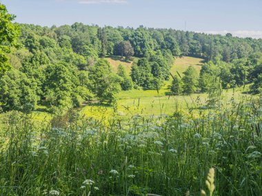 Estonya. Toila Oru Parkı, Ida-Viru Bölgesi 'nin incilerinden biridir. Yürümek için harika bir yer. Yeşil tatil.