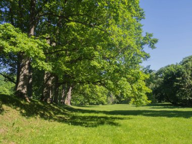 Estonya. Toila Oru Parkı, Ida-Viru Bölgesi 'nin incilerinden biridir. Yürümek için harika bir yer. Yeşil tatil.