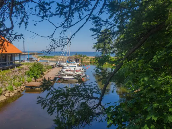 Estonya. Toila Oru Parkı, Ida-Viru Bölgesi 'nin incilerinden biridir. Yürümek için harika bir yer. Yeşil tatil.