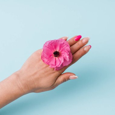 Kadın Han 'ı üzerinde reative Çiçek Mücevherat Konsepti Moda aksesuarları olarak kullanılan canlı bir çiçeğin yer aldığı çok az bir görüntü..