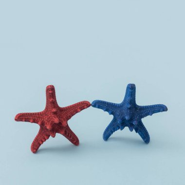Kırmızı ve mavi renkte iki denizyıldızının minimum deniz temalı fotoğrafı, pastel arka plana nazikçe dokunuyor. Temiz estetik içeren tatil, arkadaşlık veya seyahat kavramları için ideal..