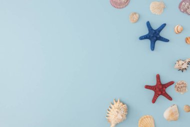 Deniz piyadesi, yumuşak mavi bir arka planda deniz kabukları arasında kırmızı ve mavi deniz yıldızlarıyla sakin bir hayat sürmektedir. Çerçevelenmiş düz bir bileşim, yukarıdan ele geçirilmiş boş bir alandan metin için alınmıştır..