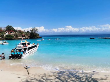 Uçurumun kenarındaki güzel bir maymunun yakın çekimi.