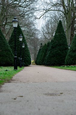 Ağaçlar ve fenerlerle dolu mistik bir yol, güzel doğa ve şehir buluşuyor. 