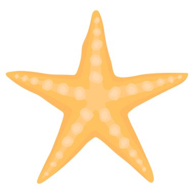 cartoon vector design of a starfish clipart