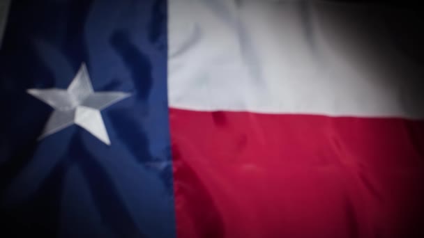 Texas Állam Zászlója Matricára Fókuszál Kiváló Minőségű Felvételek — Stock videók