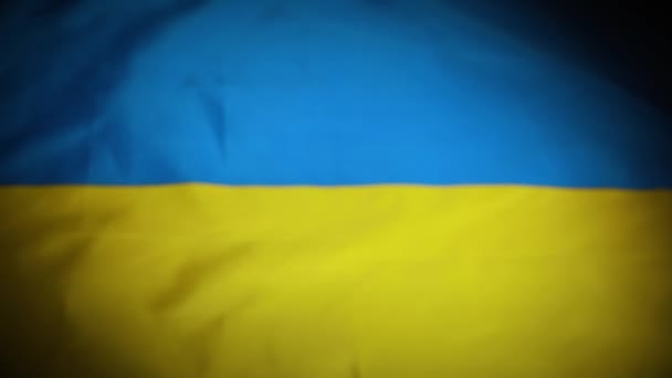 Rack Összpontosít Ukrajna Nemzeti Zászló Matrica Kiváló Minőségű Felvételek — Stock videók