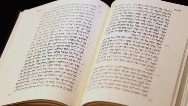 Tóra Židovská Bible Hebrejštině Náboženské Učebnice Otevřená Strana5 Vysoce Kvalitní — Stock video