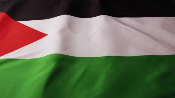 Отслеживание Слайдерного Снимка Флага Палестинского Государства Высококачественные Кадры — стоковое видео