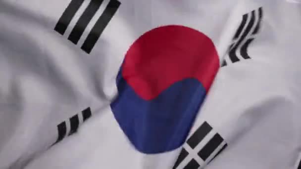 Südkoreanische Nationalflagge Auf Dunklem Hintergrund Hochwertiges Filmmaterial — Stockvideo