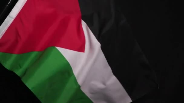 Флаг Палестины Темном Фоне Высококачественные Кадры — стоковое видео
