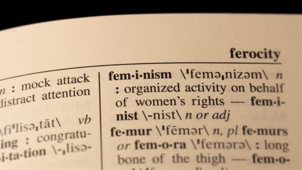 Feminizm Kelimesi Sözlükte Sayfa Metni Olarak Tanımlanır Yüksek Kalite Görüntü — Stok video