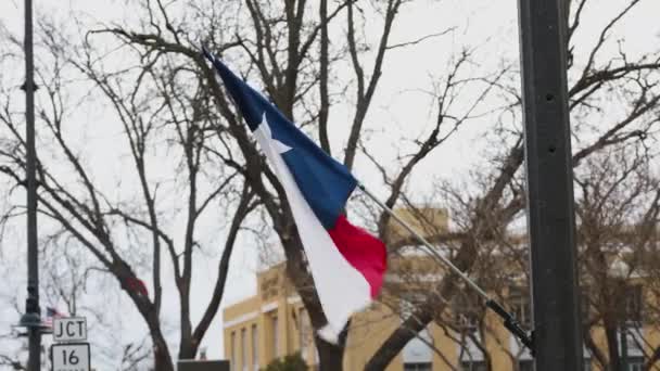 Texas Vlag Waait Wind Een Bewolkte Dag Hoge Kwaliteit Beeldmateriaal — Stockvideo