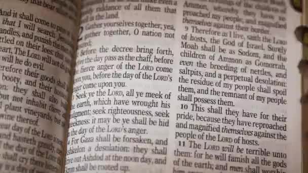 Biblia Libro Del Antiguo Testamento Hageo Página Título Vez Imágenes — Vídeo de stock