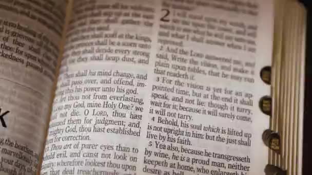 Habakkuk Eski Ahit Kitabı Başlığı Yüksek Kalite Görüntü — Stok video