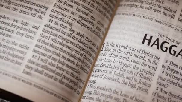 Ncil Haggai Nin Eski Ahit Kitabı Başlığı Yüksek Kalite Görüntü — Stok video