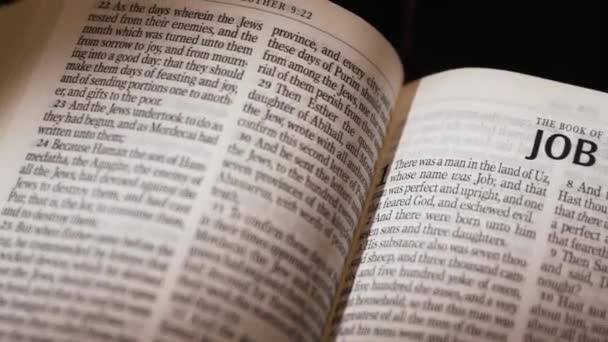 Biblia Ószövetség Jób Könyve Cím Kiváló Minőségű Felvételek — Stock videók
