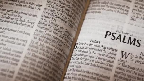 Ncil Eski Ahit Mezmurlar Kitabı Yüksek Kalite Görüntü — Stok video