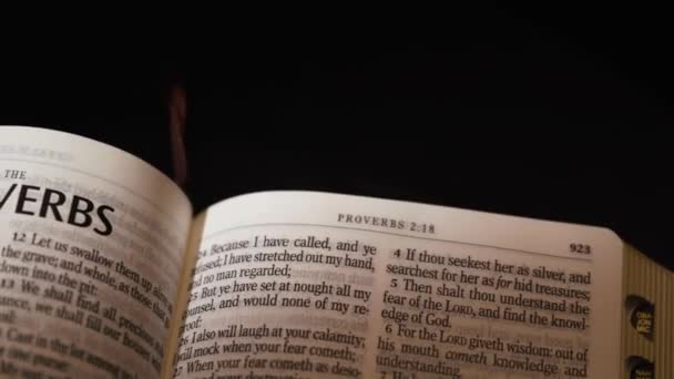 Título Dos Provérbios Antigo Testamento Imagens Alta Qualidade — Vídeo de Stock