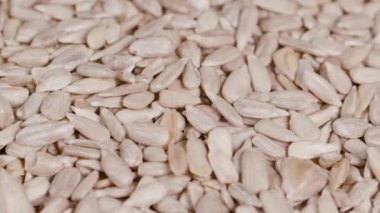 Pikabın üzerinde ayçiçeği tohumlarının aşırı yakın çekimi. Yüksek kalite 4k görüntü