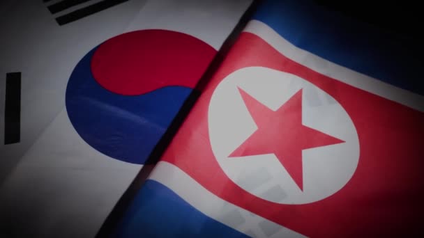 Nord Und Südkorea Flaggen Auf Plattentellern Hochwertiges Filmmaterial — Stockvideo
