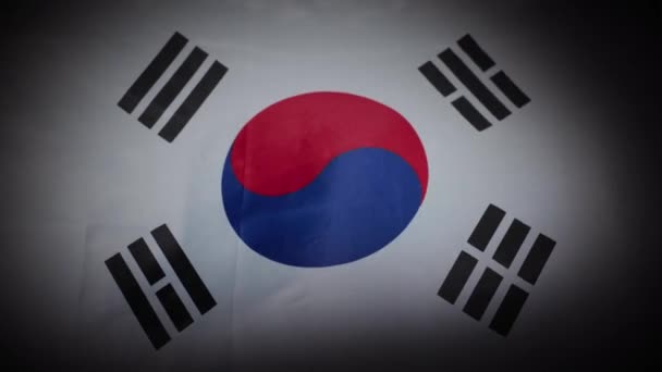 Zuid Koreaanse Nationale Vlag Wapperend Stromend Van Vignet Hoge Kwaliteit — Stockvideo
