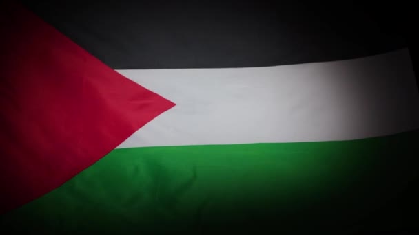 Bandera Nacional Palestina Ondeando Fluyendo Con Viñeta Imágenes Alta Calidad — Vídeo de stock