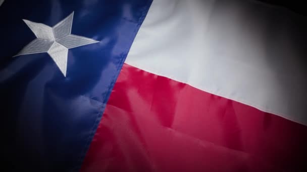 Virada Dinâmica Bandeira Estado Texas Imagens Alta Qualidade — Vídeo de Stock
