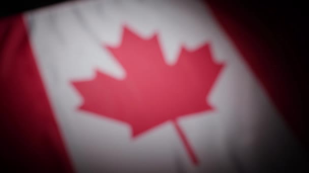 活力のあるカナダの国旗のラックフォーカス 高品質の4K映像 — ストック動画