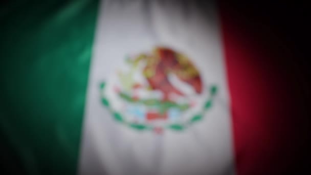 墨西哥国旗的重点不够突出 高质量的4K镜头 — 图库视频影像