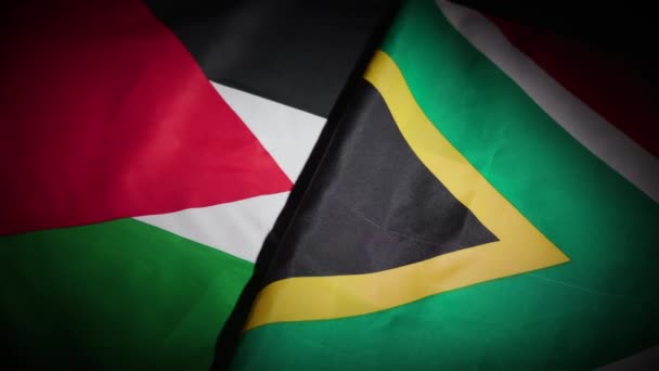 África Sul Palestina Bandeiras Plataforma Giratória Fundo Escuro Imagens Alta — Vídeo de Stock