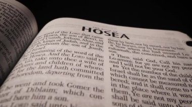 Hosea 'nın Hristiyan İncil kitabının dini yazıtlarından 12 bebeklik bir kare. Yüksek kalite 4k görüntü