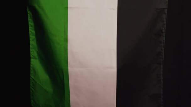 Palästinensische Flagge Auf Dunklem Hintergrund Hochwertiges Filmmaterial — Stockvideo