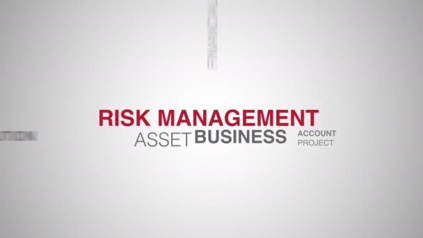 Risk Management Woord Cloud Animatie Witte Achtergrond Hoge Kwaliteit Beeldmateriaal — Stockvideo