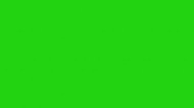 Son yeşil ekran hareketli grafik animasyonu. Yüksek kalite 4k görüntü