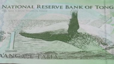 1 Tonga Pa anga TOP Ulusal Para Birimi Yasal İhale Tasarısı Merkez Bankası 1. Yüksek kalite 4k görüntü
