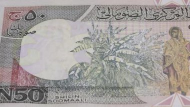 1000 Somali şilini ulusal para birimi yasal ihale banknot tasarısı merkez bankası 2. Yüksek kalite 4k görüntü
