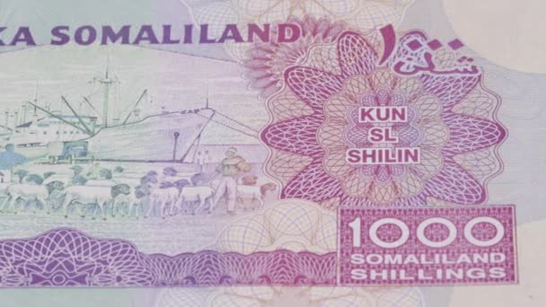 Chelín Somalí Sos Moneda Nacional Dinero Moneda Curso Legal Billete — Vídeo de stock