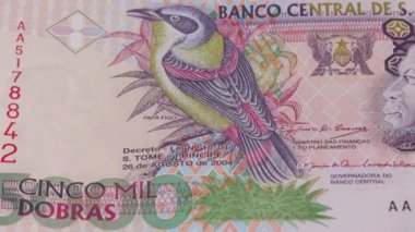5000 Sao Tome ve Principe Dobras Ulusal Para Birimi. Yasal ihale faturası Merkez Bankası 2. Yüksek kalite 4k görüntü