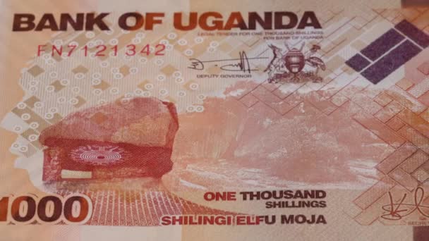 1000 Chelín Ugandés Moneda Nacional Dinero Moneda Curso Legal Billete — Vídeo de stock