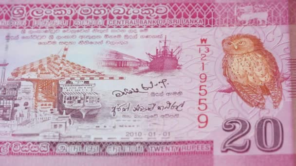 Roupies Sri Lankaises Monnaie Nationale Monnaie Cours Légal Billet Billet — Video