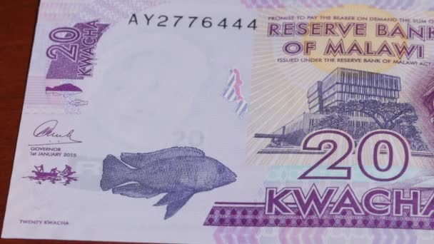 Moeda Nacional Kwacha Malawiana Moeda Com Curso Legal Notas Banco — Vídeo de Stock
