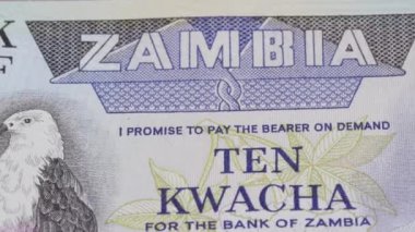 10 Zambiya kwacha ulusal para birimi yasal ihale banknot tasarısı merkez bankası 3. Yüksek kalite 4k görüntü