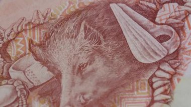 20 kina Papua Yeni Gine ulusal para birimi yasal ihale banknotu 5 kapanıyor. Yüksek kalite 4k görüntü